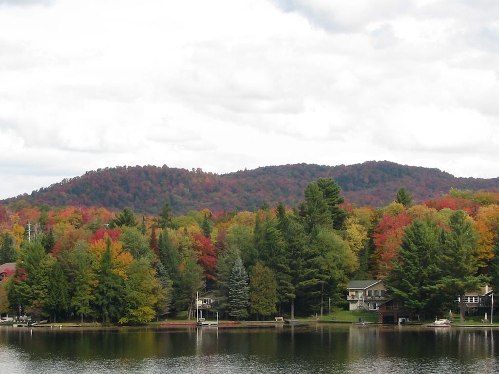 أولد فورغ Pine Knoll Hotel Lakeside Lodge & Cabin الغرفة الصورة
